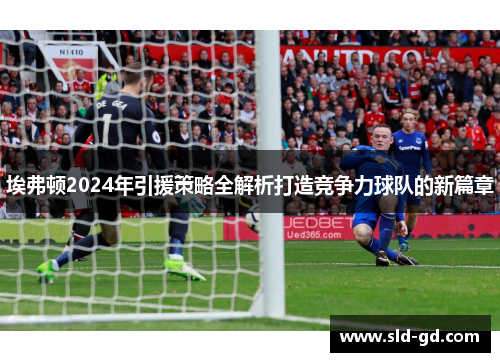 埃弗顿2024年引援策略全解析打造竞争力球队的新篇章