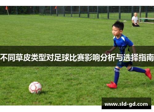 不同草皮类型对足球比赛影响分析与选择指南
