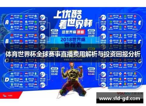 体育世界杯全球赛事直播费用解析与投资回报分析
