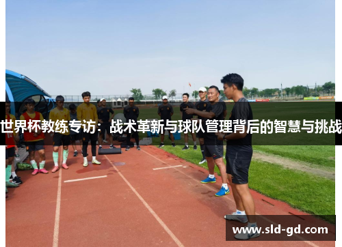 世界杯教练专访：战术革新与球队管理背后的智慧与挑战