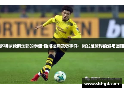 多特蒙德俱乐部的泰迪·斯塔德勒致敬事件：激发足球界的爱与团结
