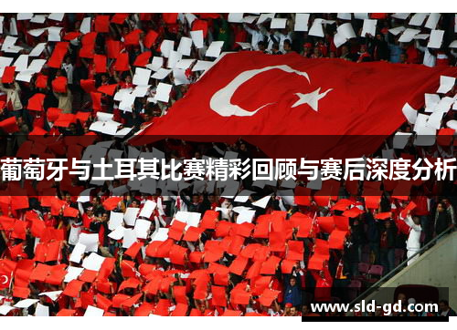 葡萄牙与土耳其比赛精彩回顾与赛后深度分析 葡萄牙与土耳其比赛精彩回顾与赛后深度分析