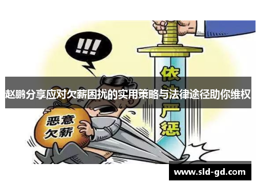 赵鹏分享应对欠薪困扰的实用策略与法律途径助你维权