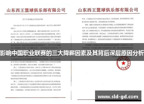 影响中国职业联赛的三大降薪因素及其背后深层原因分析