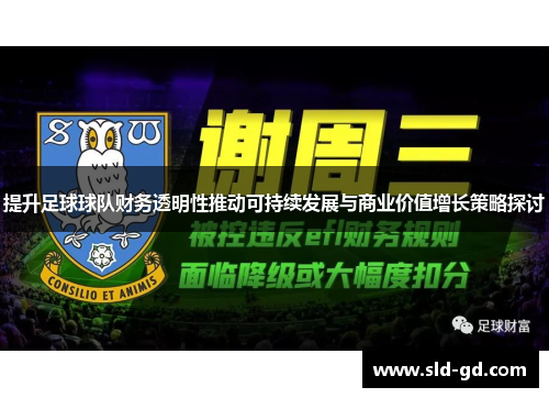 提升足球球队财务透明性推动可持续发展与商业价值增长策略探讨